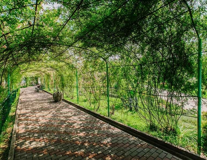 Услуги и развлечения - Санаторий «Зеленый Гай» РЖД-Здоровье