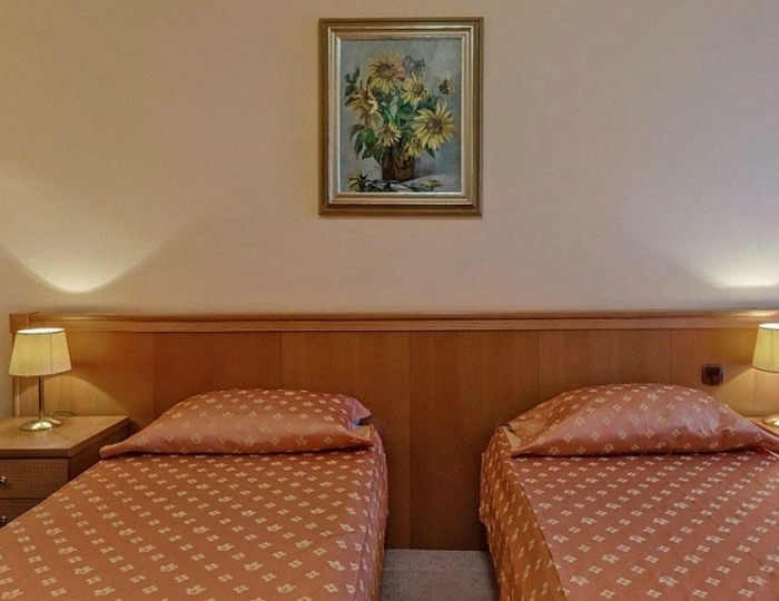 Полулюкс 2-местный 2-комнатный TWN корпус 1,2 - Санаторий «Зеленый Гай» РЖД-Здоровье