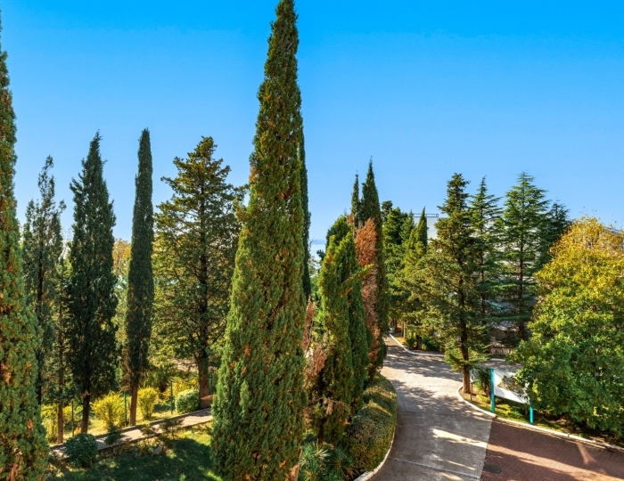 Стандарт 2-местный 1 категории TWIN корпус 1 - Санаторий «Зеленый Гай» РЖД-Здоровье