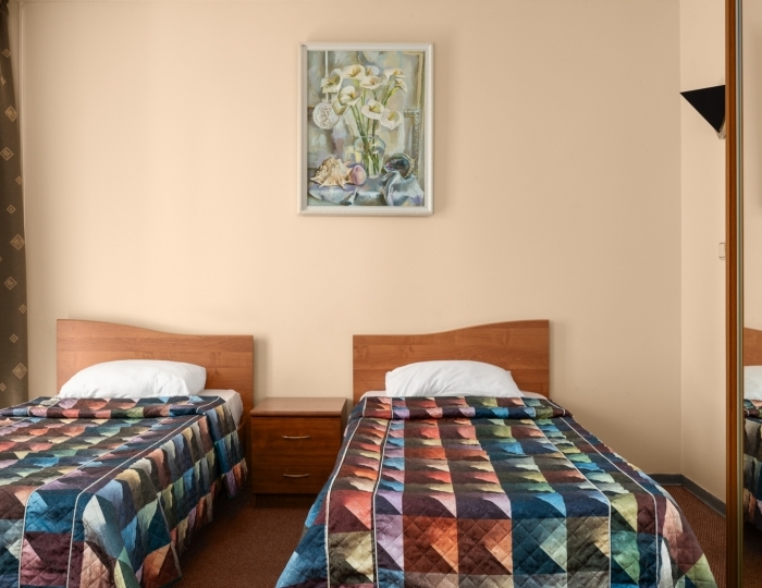 Эконом 2-местный TWN вид на дорогу - Санаторий «Зеленый Гай» РЖД-Здоровье