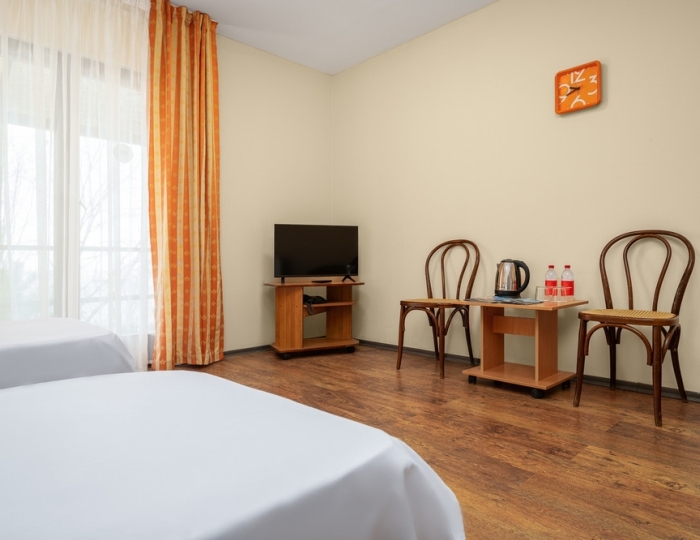 Эконом 2-местный корпус 5 - Санаторий «Зеленый Гай» РЖД-Здоровье