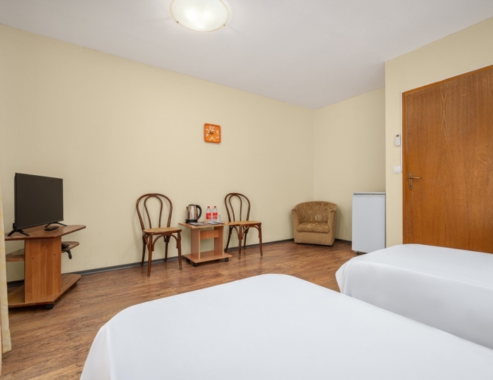 Эконом 2-местный корпус 5 - Санаторий «Зеленый Гай» РЖД-Здоровье