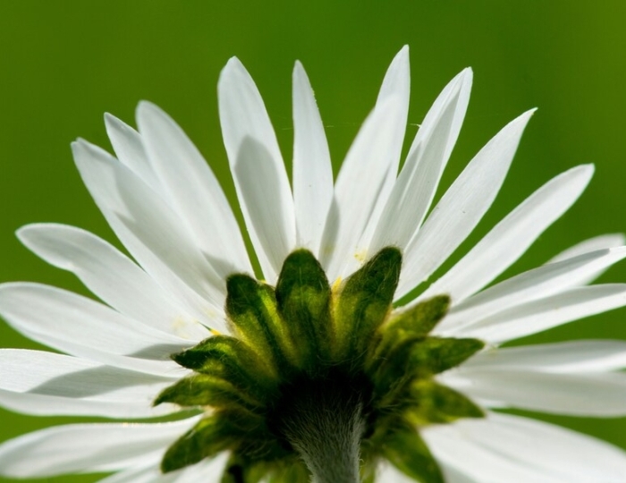 Оздоровительная - Лечебные программы - Санаторий «Зеленый Гай» РЖД-Здоровье